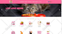 create salesy woocommerce website online store webshop