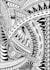design tribal, pattern, ornament, symbol polynesian