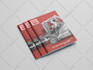 design a professional company brochure or business brochure