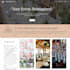 design and develop a professional custom wordpress website