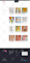 install wordpress and free themes or themeforest theme setup