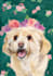 paint adorable watercolor pet portrait