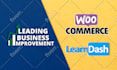 create website with wordpress elementor divi website builder