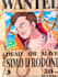 draw you a one piece wanted poster
