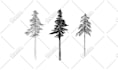 draw flowers or plants illustration for you