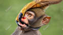 design attractive youtube thumbnail, miniature in 3hr