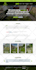 create a professional responsive website design