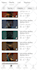 edit automate monetizable youtube shorts, insta reels