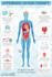 design best medical infographics
