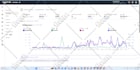 do optimize your amazon PPC campaign for amazon ads campaign