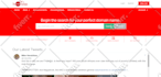 fix bugs, errors and do anything related to wordpress