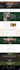 be divi expert for your divi website, divi theme and divi builder