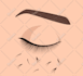 draw illustrations for eyelash extension, manicures, waxing and others guide