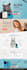 do custom ai software, full stack, web application, ai software developer ai web