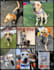 make the best photo collage using your pictures