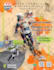 design flyer, banner ,poster for you