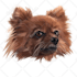 draw high quality vector art for your pet