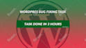 fix issue or bug with wordpress website in 24h