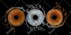 create an amazing unique iris art for you