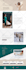 customize, redesign, or develop a professional wordpress website