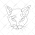 make realistic pet potrait and line art