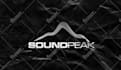 create eye catching logo for dj and music artist