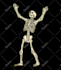 draw cool skeleton or skull for your merch, or project