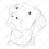 draw digital line art portrait from any photo
