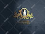 design fast and professional logo design
