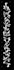 design your baybayin tattoo
