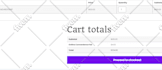 update your wordpress website
