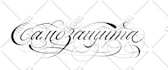 create custom calligraphy in cyrillic and latin