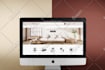 build a professional shopify store