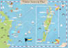 create detailed map illustration