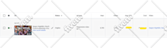 boost your video through organic youtube promotion