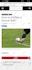 provide dofollow guest post outreach seo backlinks