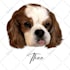 draw illustration animal pet cartoon vector potrait