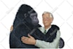 create character design, animal character, cartoons