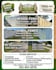 design an amazing high quality flyer for your business