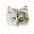 draw vector illustration dog cat animal pet cartoon portrait
