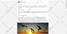 build 20,000 da90 high authority do follow backlinks for youtube
