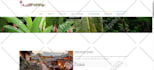 be your webflow developer for website design, figma to webflow, or landing page