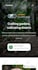 design framer website development, figma to framer, framer website webflow