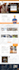 create professional wordpress business website