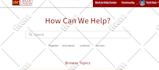 design and develop your shopify store