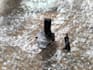 3d print your models carefully and post them to you fast
