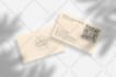 design luxury minimalist business card with gold foil