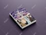 create illustrated fairytale book cover
