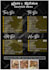 design professional flyer design for your company