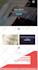 develop dynamic web application